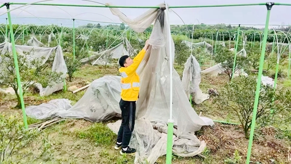 沿线轻飘物清理