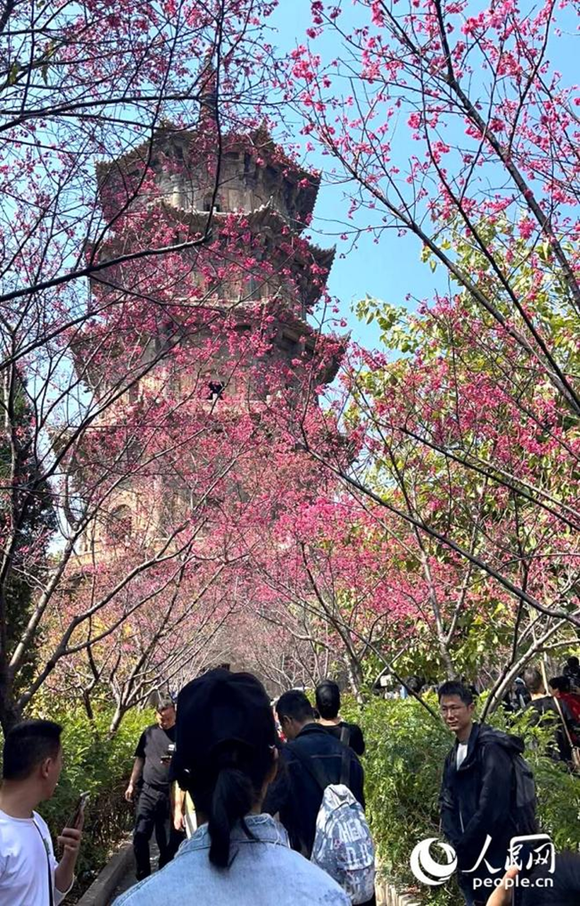 泉州古城吸引了来自全国各地游客前往打卡。