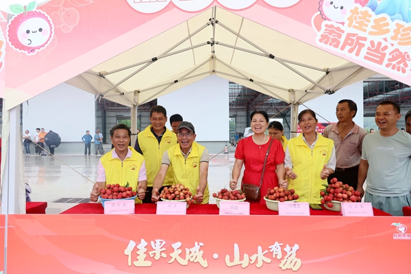 2026年桂平市麻垌荔枝宣传推广活动启动