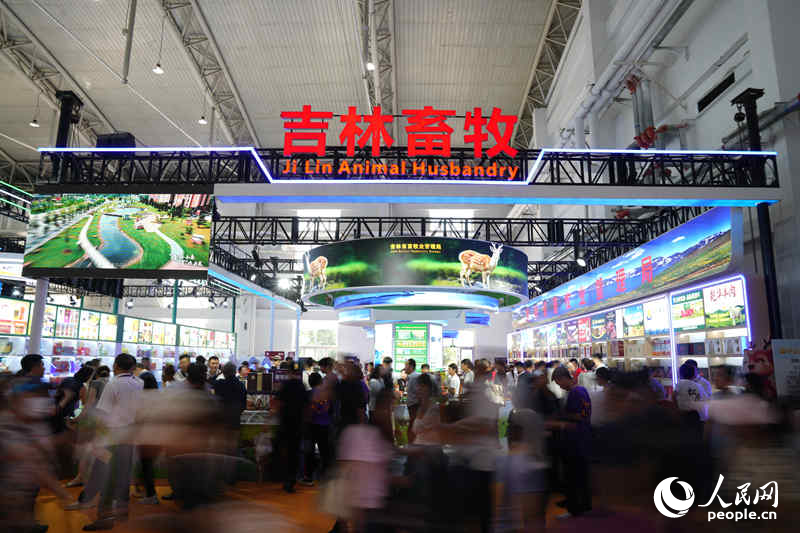 展会现场展示