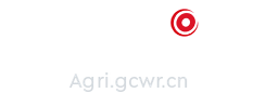 观察网
