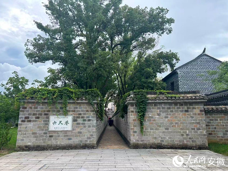 在行走中传承历史 文化润泽桐城
